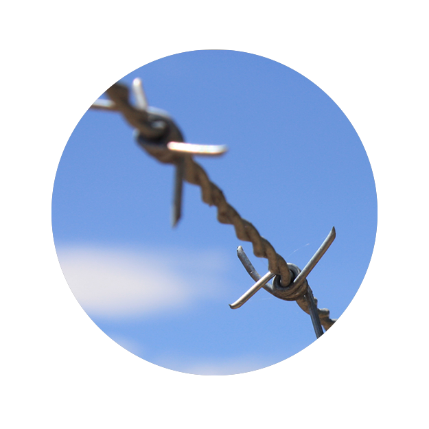 Fencing Wire